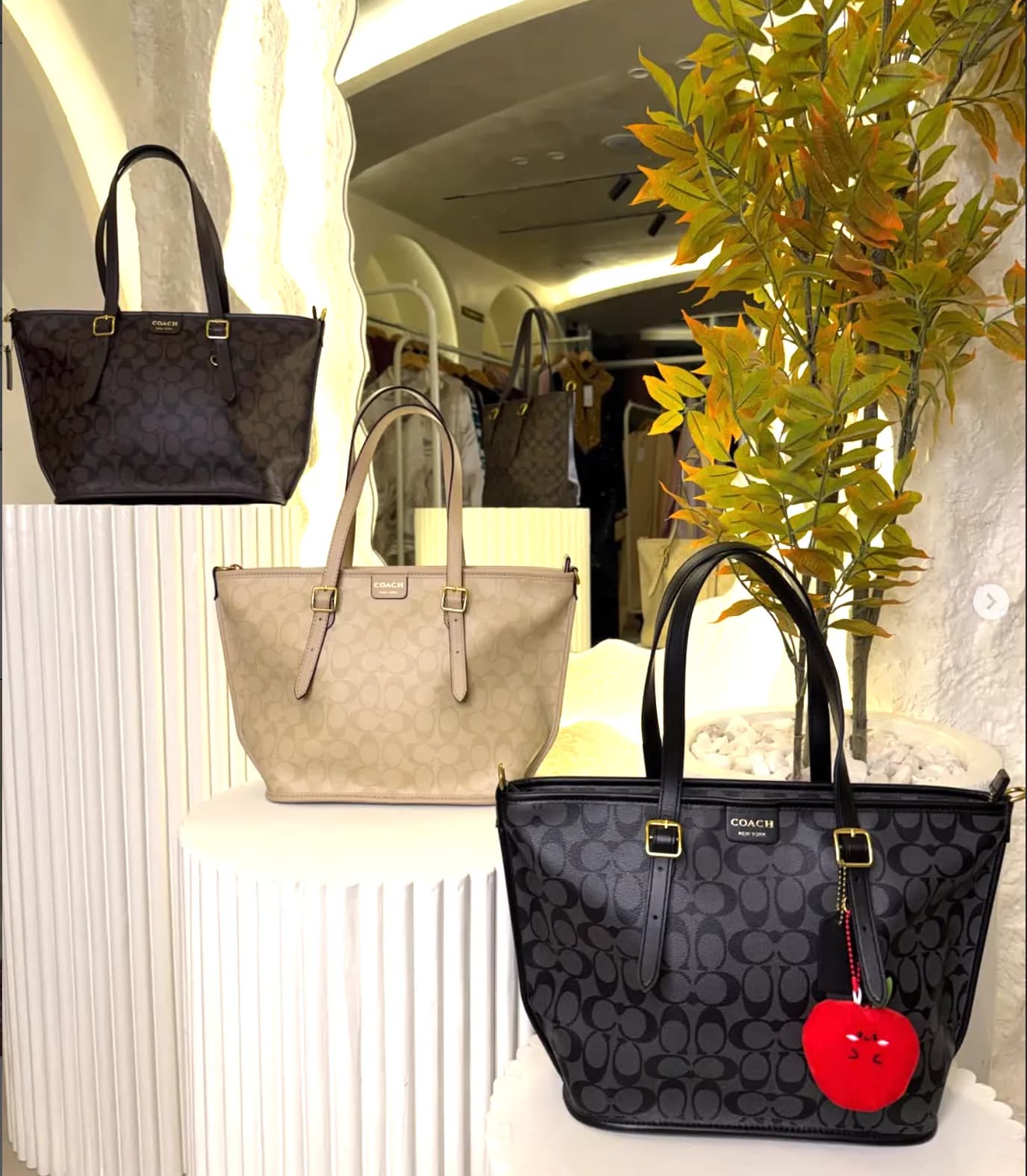 Three canvas totes in black, khaki and brown